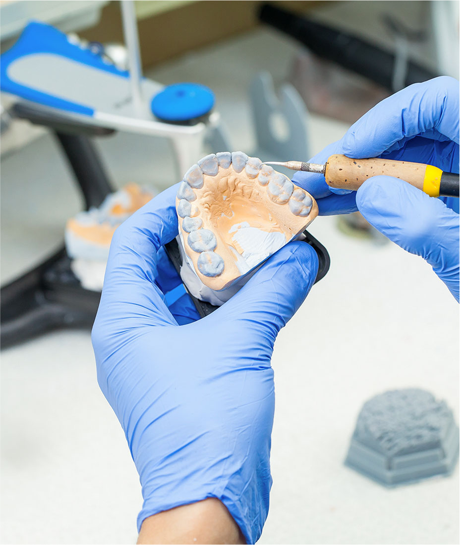 baner protetyka, model szczęki